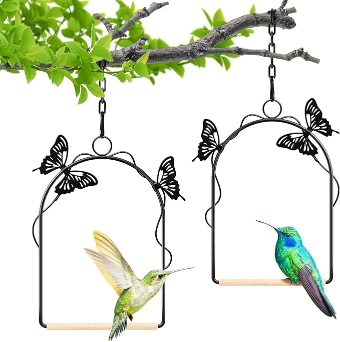 Dependable Hummingbird Swing 2 Pack Attractive Hummingbird Perch Responsible