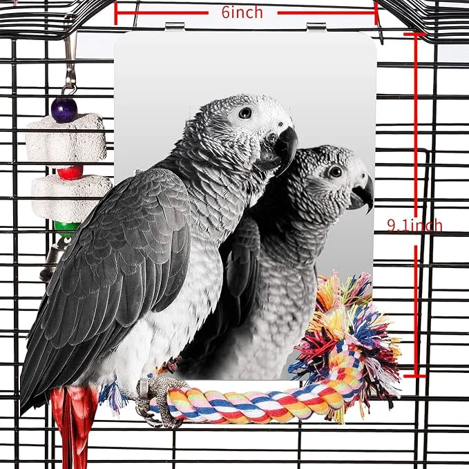High-Performance Colorday 9 Bird Mirror with Rope Perch Bird Swing Parrot Cage Toys Outstanding