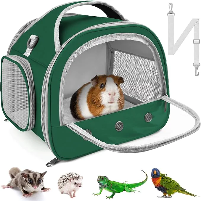 Consistent Bissap Bearded Dragon Travel Carrier Portable Guinea Pig Carrier Bag Tortoise Quality