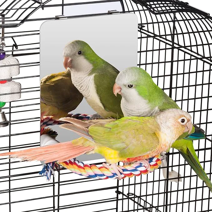 Eco-Friendly Colorday 7 Bird Mirror with Rope Perch Bird Swing Parrot Cage Toys Long-Lasting