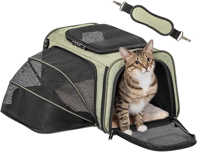 Casual Petsfit Expandable Rabbit Carrier Small Cat Carrier Airline Relaxed