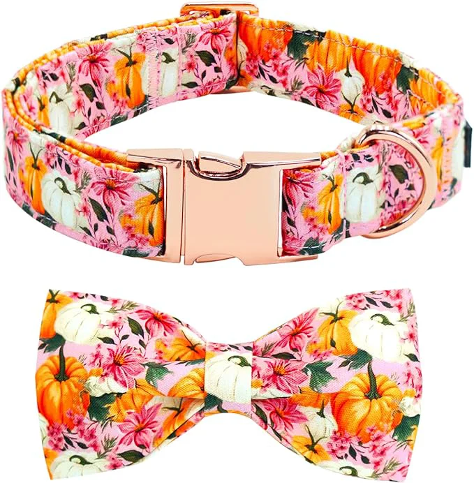 Unique Fall Dog Collar Practical