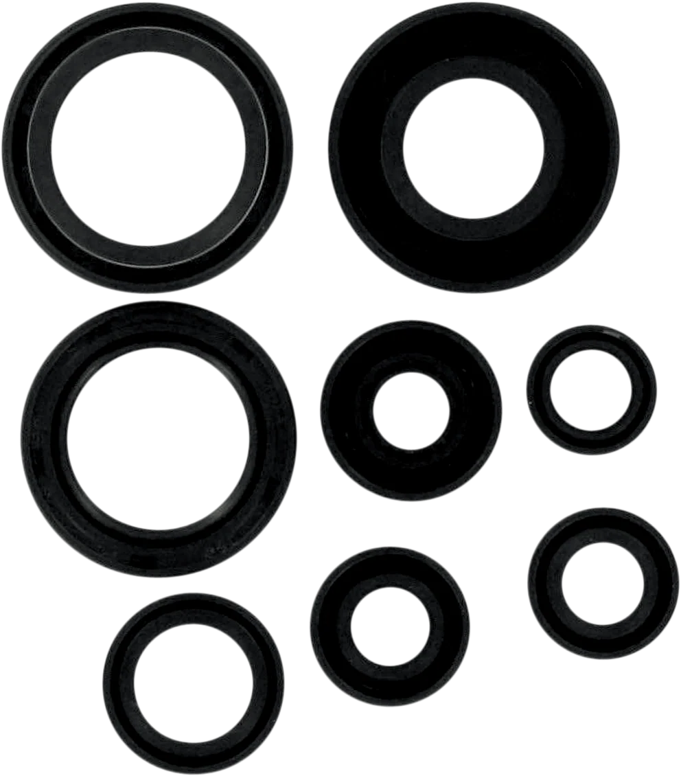 Selected MOOSE RACING Motor Seals 822173MSE Relaxed