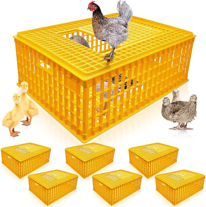 Sustainable Sintuff Poultry Carrier Crate Plastic Chicken Transport Cage Bird Carriers Verified