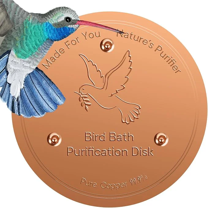 Responsible Bird Bath Copper Disc- Reinforced 99.99 Pure Copper Bird Bath Purification Fine Crafted
