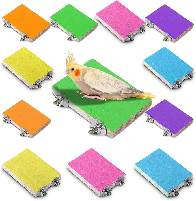 High-End Reginary 12 Pcs Bird Perch Stand Toy Wood Parrot Stand Platform Colorful Paw Next-Generation