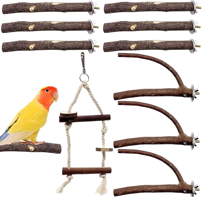 Effective EBaokuup Bird Parrot Perch Set Top-Quality