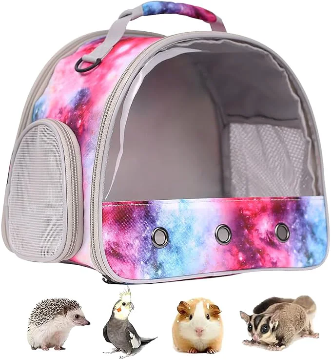 Professional Guinea Pig Carrier Cage for 2 Bearded Dragon Travel Carrier for Small Animal Modern