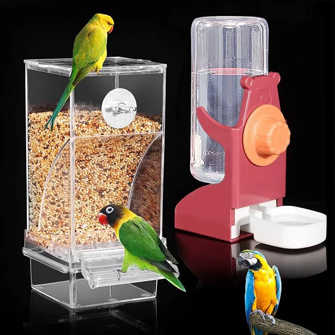 Specialty Bird Water Dispenser Automatic Bird Feeder Outstanding