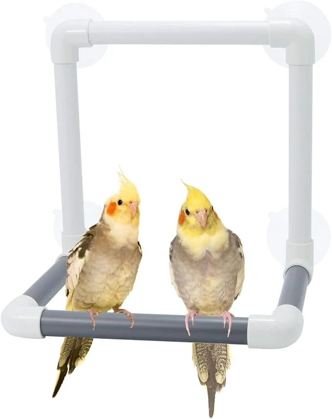 Minimalist Bird Portable Suction Cup Shower Perch Parrot Window Wall Standing Platform Elegant