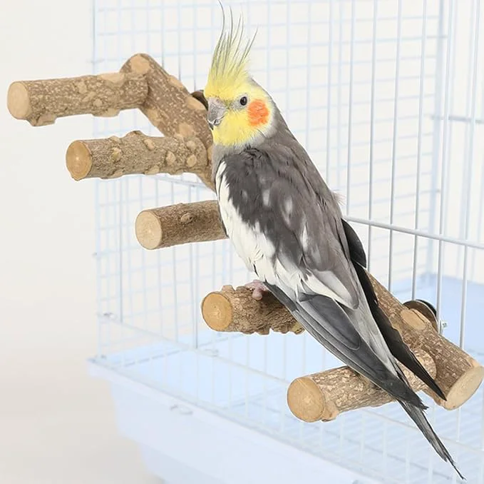 Carefully Designed Bird Parrot Ladder Perch for Cage Nature Wooden Bird Bridge Exercise Stands High-End