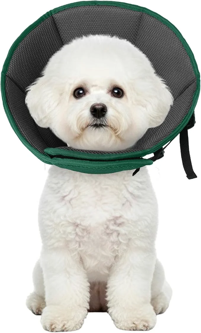 Trendy Dog Cone Collar After Surgery Adjustable Soft Recovery Cone Practical