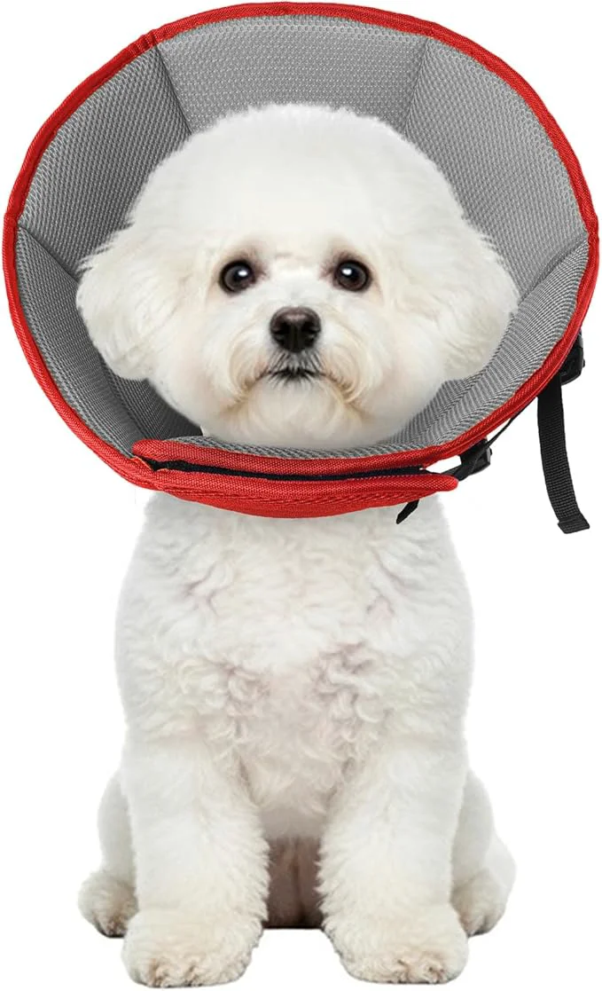 Innovative Dog Cone Collar After Surgery Adjustable Soft Recovery Cone Modern