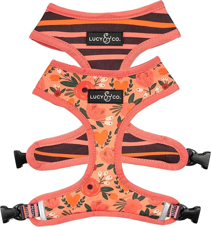 Verified Lucy Co. Reversible Dog Harness Walking Halter Soft