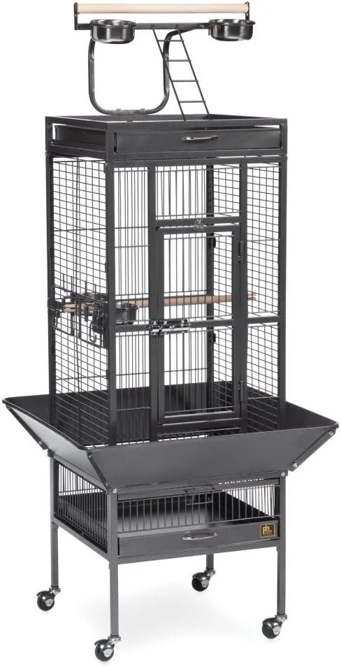 Clean Prevue Pet Products Wrought Iron Select Bird Cage Black Hammertone 3151BLK Safe