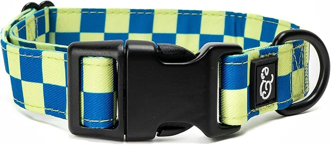 Verified Lucy Co. Have a Nice Day Dog Collar Specialty