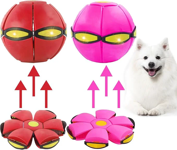 Consistent Dog Flying Disc Toy Flying Saucer Ball Convenient