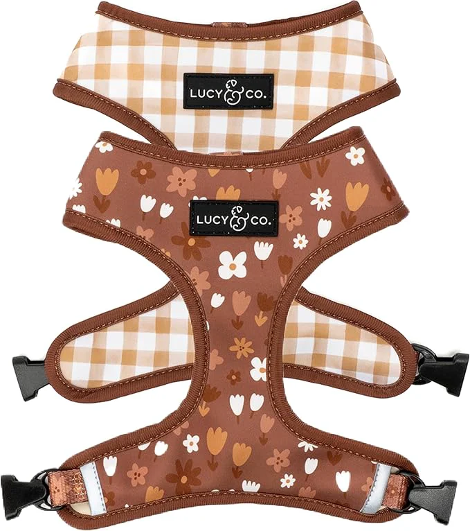 Certified Lucy Co. Cute Reversible Dog Harness Walking Halter Prestigious