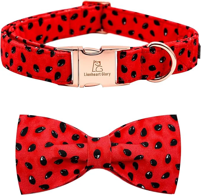 Stylish Lionheart glory Dog Collar Watermelon Dog Collar Crafted