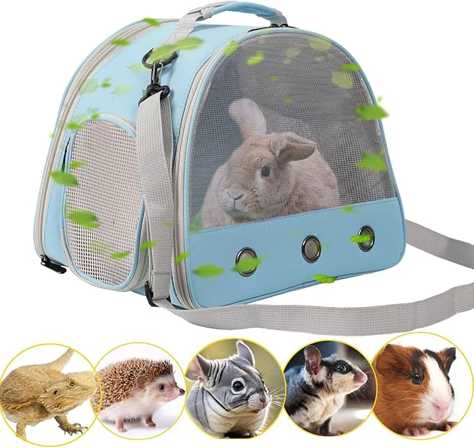 Clean Ventilation Cage Bearded Dragon Travel Carrier Guinea Pig Carrier Guinea Pig Modern