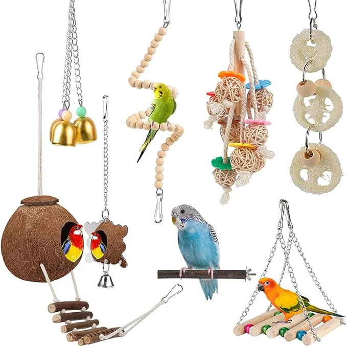 High-Quality For Parakeet Love Birds Parrots Artisan