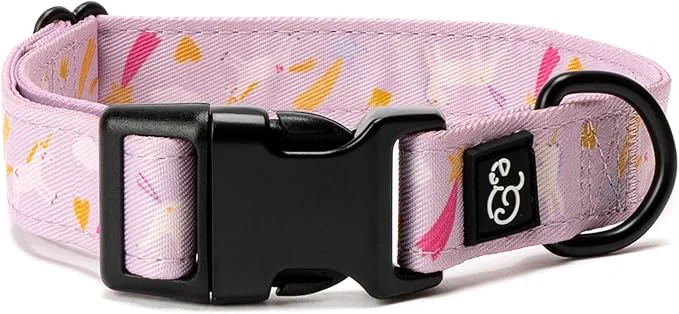 Sustainable Lucy Co. Unicorn Dog Collar Modern