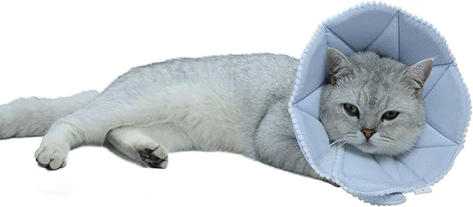 Optimized Soft Cat Recovery Collar Adjustable Dog Cat Cone Dog Protective Cone Collar Crafted