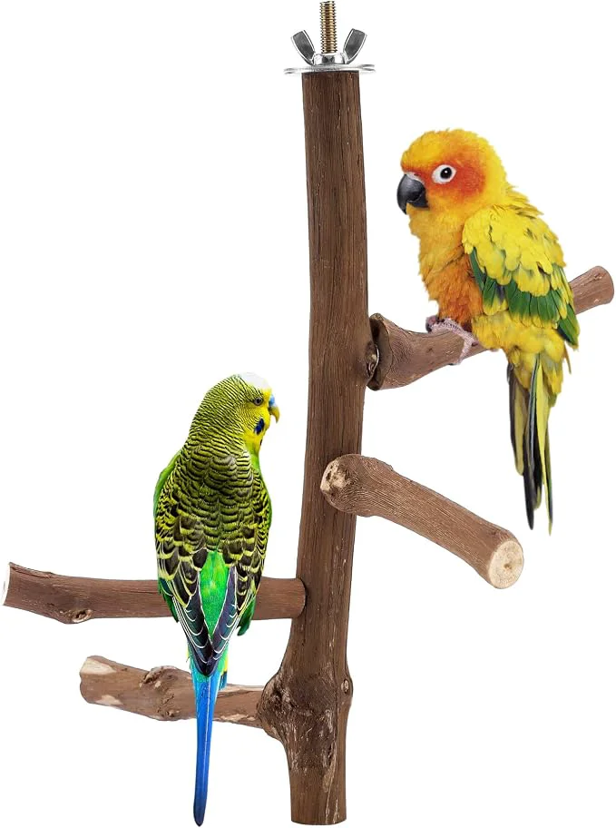Secure CozyCabin Natural Bird Perch Stand Optimized