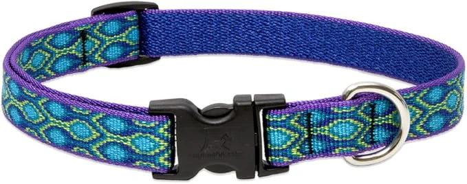 Outstanding LupinePet s 3 4 Rain Song 13-22 Adjustable Collar Premium