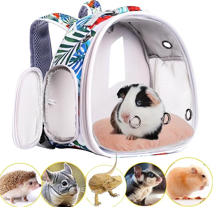 Safe Hamster Backpack Carrier Bearded Dragon Carrier Backpack Sophisticated