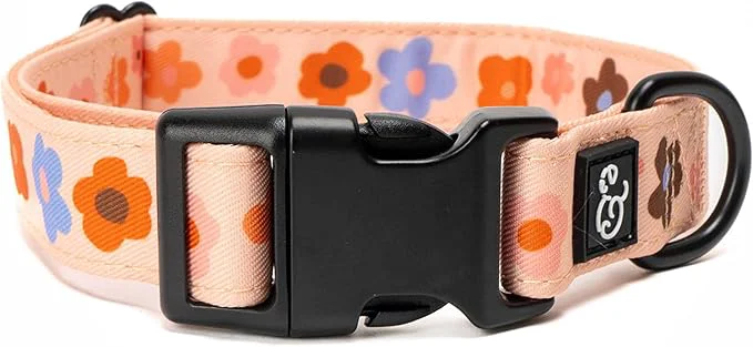 Carefully Designed Lucy Co. Let's Groove Adjustable Dog Collar- Cute Designer Pet Collar Prestigious