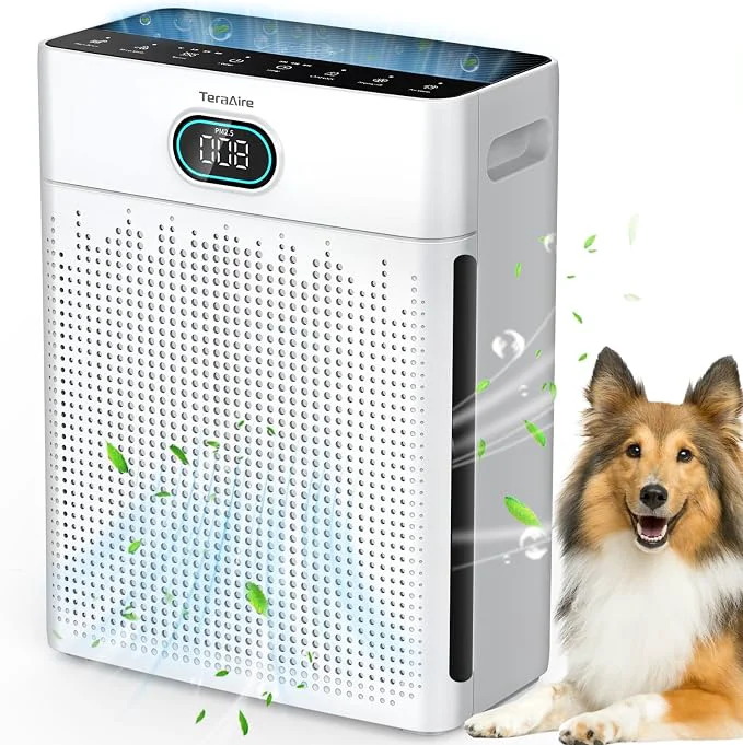 Functional Air Purifiers for Home PM 2.5 Air Quality Monitor Cover Up to 2200 Ft² Original Design