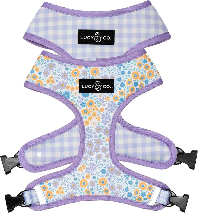 Comfortable Lucy Co. Cute Reversible Dog Harness Walking Halter Durable