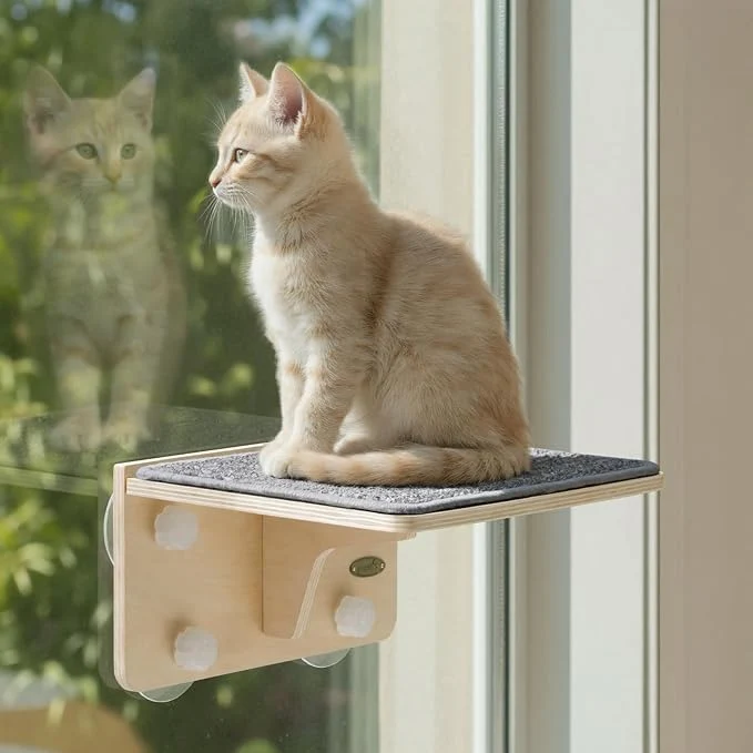 Effective Pecute 2-in-1 Cat Window Perch Wall Shelves - Sturdy Solid Wood Frame 4 Large Rotating Suction Cups Washable Carpet Cloth Cover Space-Saving Indoor Cat Hammock Bed for Kittens Inside 12 x10 About ThisOverview Verified