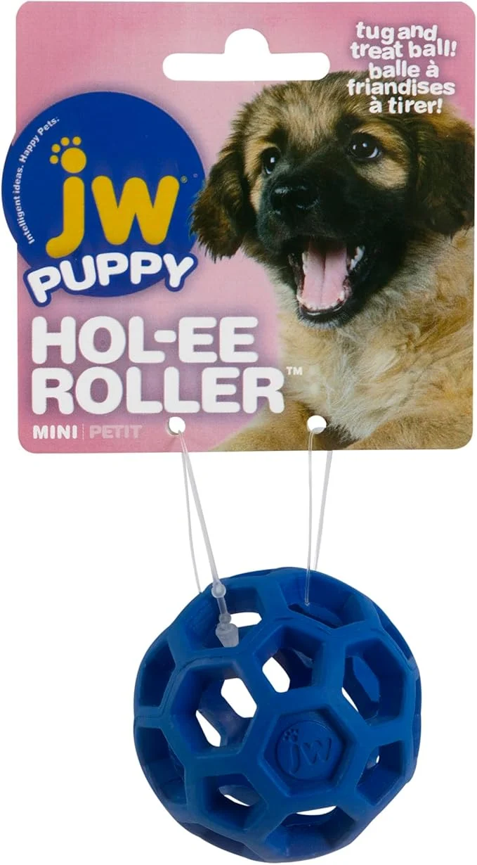Superior JW Hol-ee Roller Dog Fetch Treat Dispenser Puzzle Ball Mini 1.75 Inch Diameter Exceptional