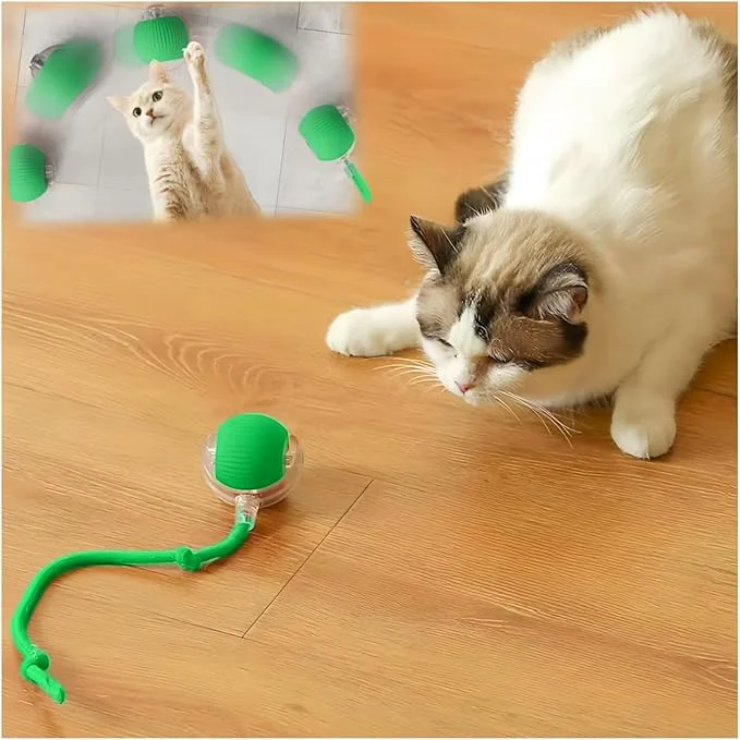 Solid Interactive Cat Toys for Indoor Cats Agility Move Cat Balls Motion Activated Prestigious