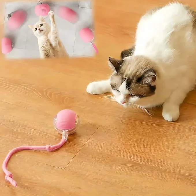 Easy-to-Use Interactive Cat Toys for Indoor Cats Agility Move Cat Balls Motion Activated Soft