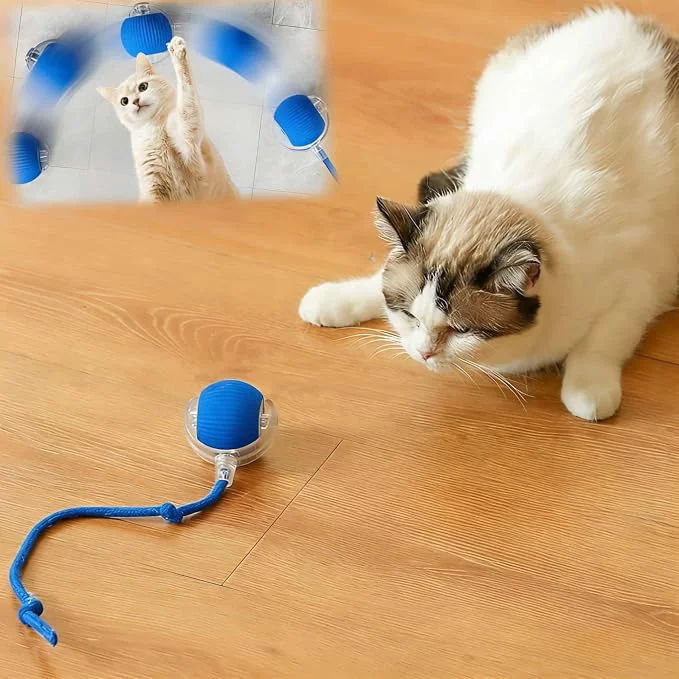 Secure Interactive Cat Toys for Indoor Cats Agility Move Cat Balls Motion Activated Original Design