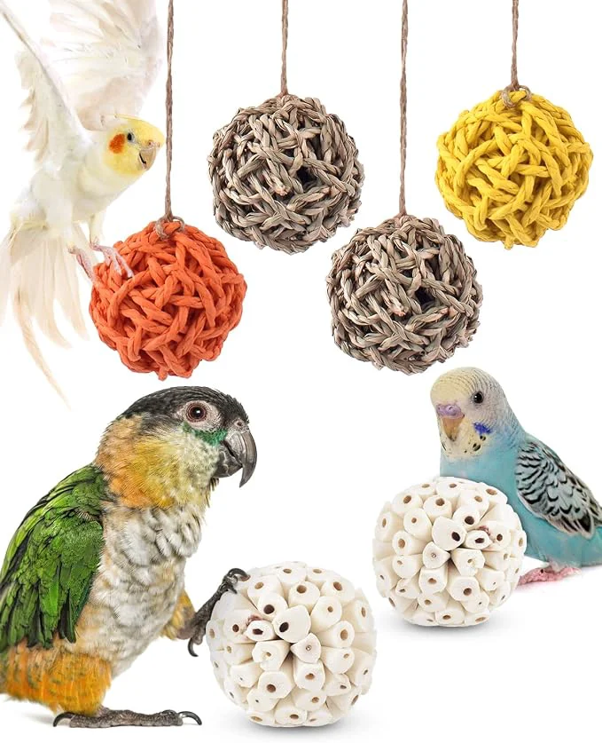 Efficient Bissap 6PCS Small Parrot Chew Toys Sola Balls Conure Chewing Foraging Toys Recyclable