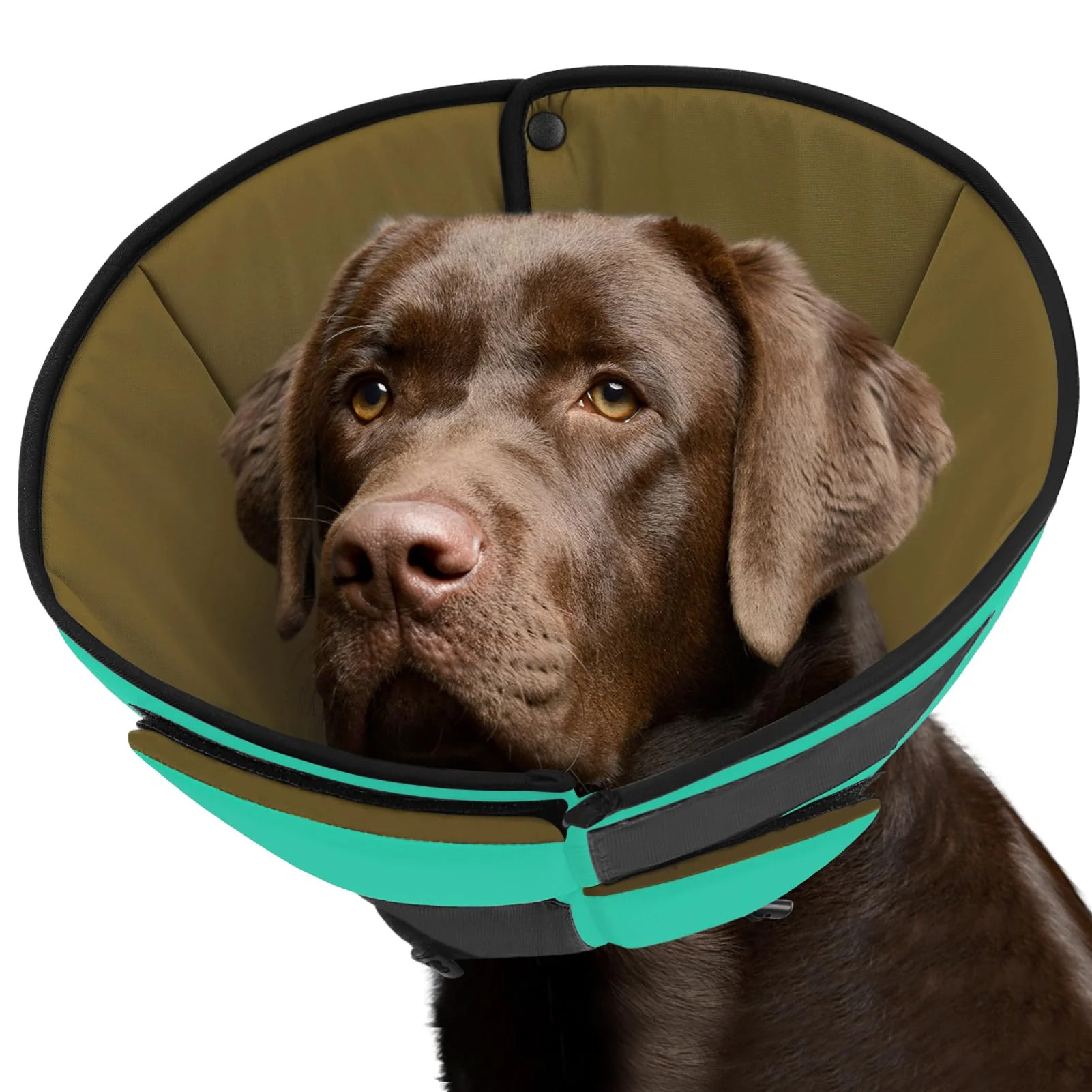 Long-Lasting Queenmore Soft Dog Cone Collar for Large Dogs – Breathable Adjustable E-Collar Green XL Professional