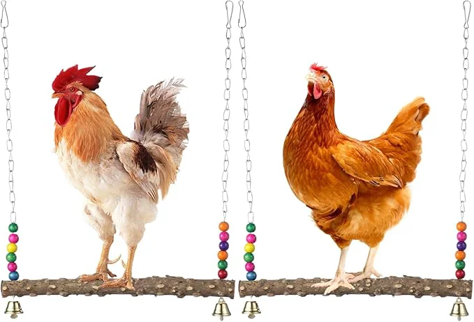 High-Grade 2PCS Chicken Bird Swings Organic