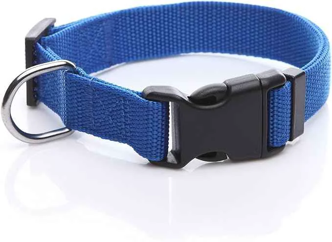 Sustainable Adjustable Nylon Dog Collar pet Collar 1 Inch 3 4 Inch 5 8 Inch Wide Fast