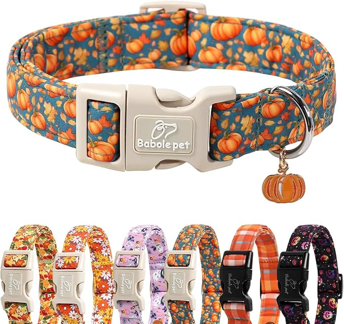 Unique Fall Dog Collar Cute Autumn Pumpkin Puppy Collar Specialty