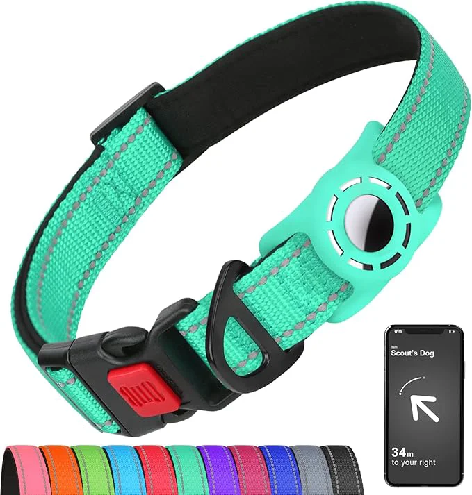 Carefully Designed Airtag Dog Collar with AirTag Holder Prestigious