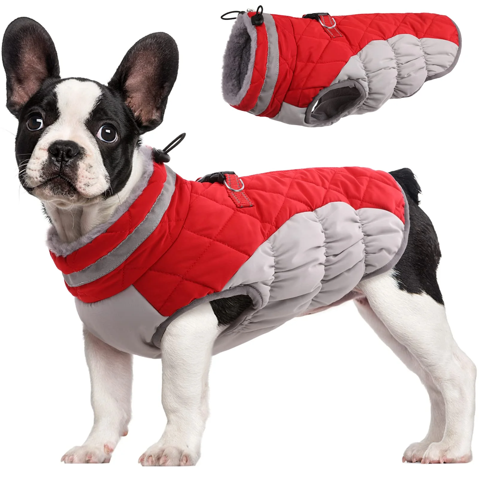 Classic FUAMEY Dog Coat for Small Dogs — Waterproof Winter Jacket with Built-in Harness Reflective Fleece Trusted
