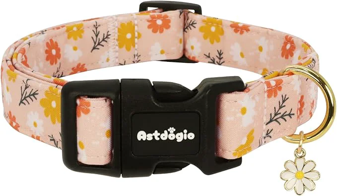 Superior Dog Collar for Extra Small Dogs Spring Summer Theme Orange Small Dog Collars Premium
