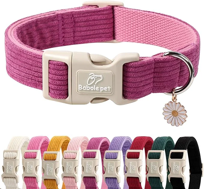 Certified Cute Corduroy Dog Collar Next-Generation