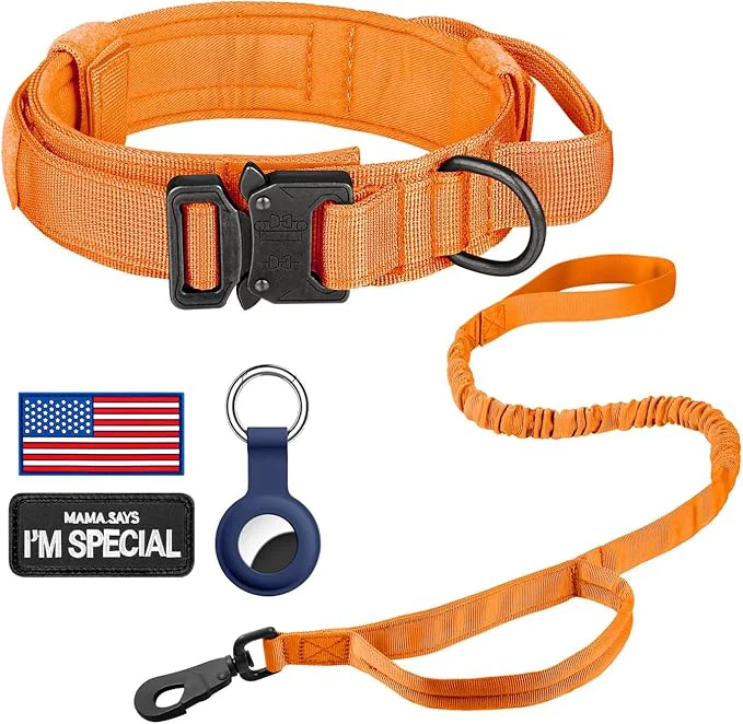 User-Friendly DAGANXI Tactical Dog Collar Adjustable Military Training Nylon Dog Collar Secure