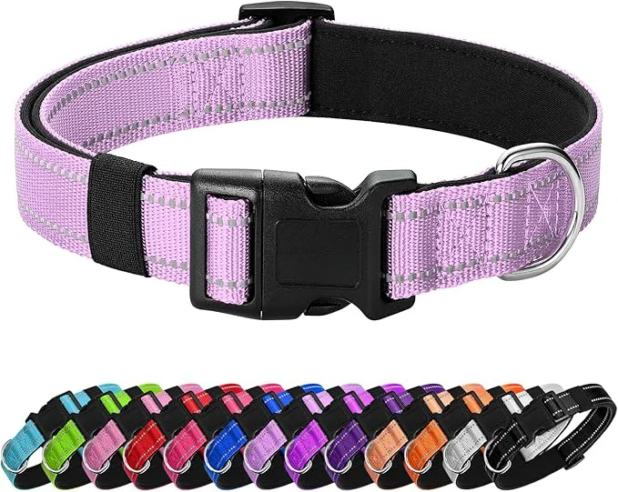 Superior Reflective Dog Collar Padded Versatile