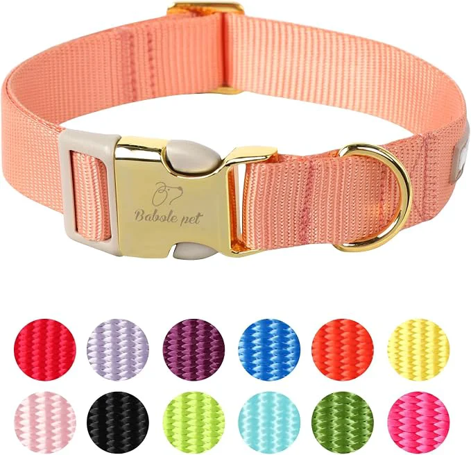 Superior Nylon Dog Collar Easy-to-Use